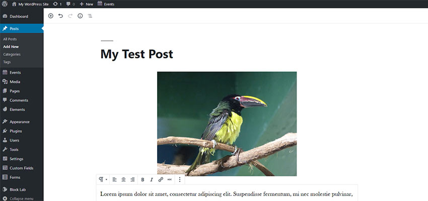 wordpress launch checklist 03