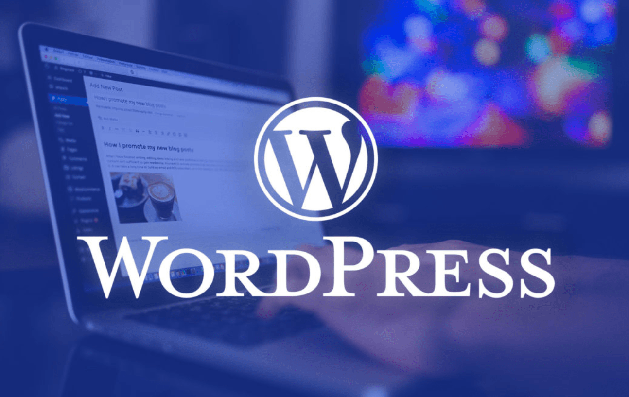 Did you remember 5 things before your WordPress site was launched?